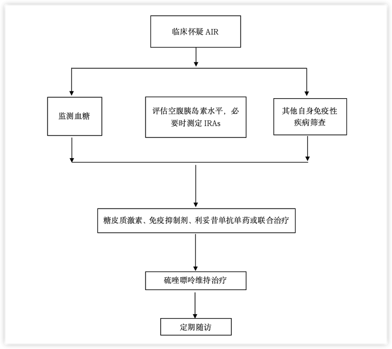 自身免疫性胰岛素受体病（AIR）诊疗流程