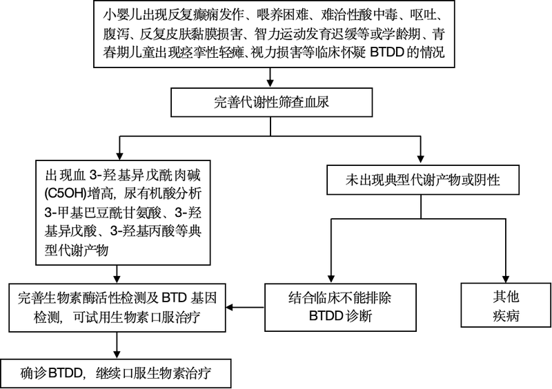 生物素酶缺乏症（BTDD）诊疗流程