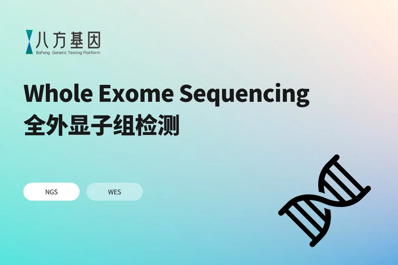 全外显子组基因检测