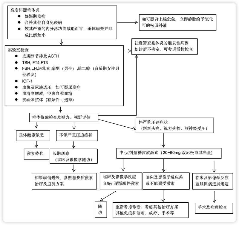 淋巴细胞性垂体炎（LYH）诊疗流程