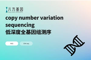低深度全基因组测序