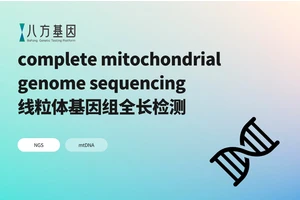 线粒体基因组全长检测
