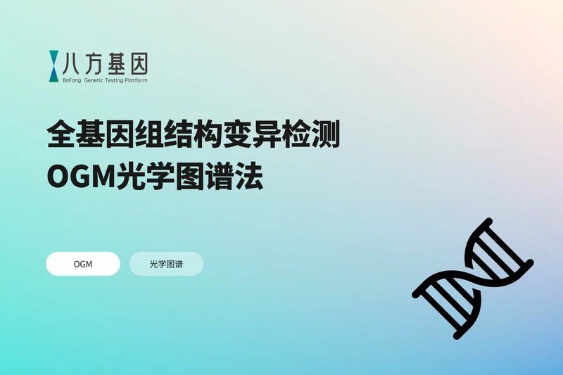 基因组光学图谱技术（Optical Genome Mapping，OGM）