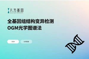 基因组光学图谱技术（Optical Genome Mapping，OGM）